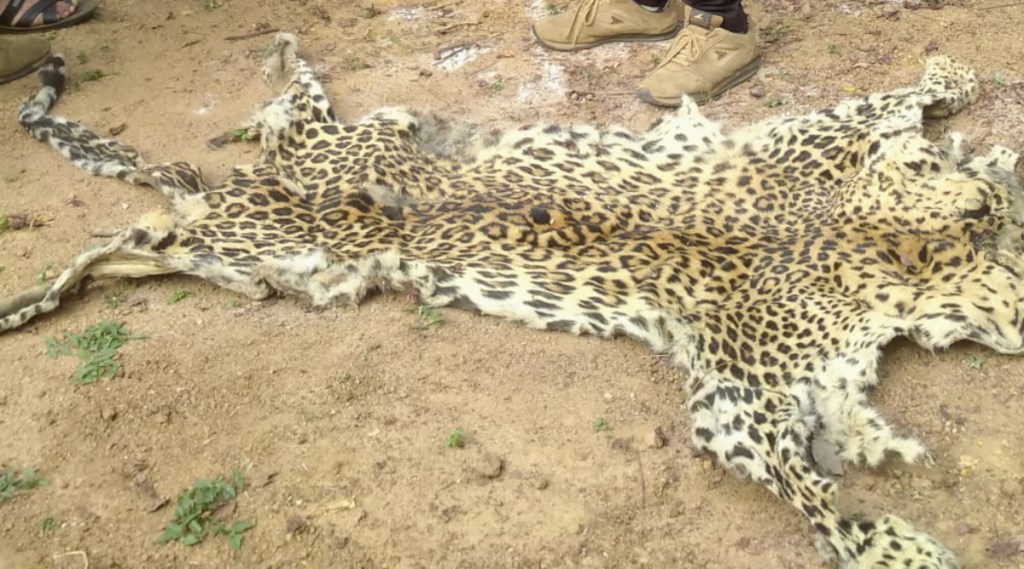 leopard poachers , Nagpur, Wadsa forest division, joint operation
