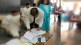 nagpur election