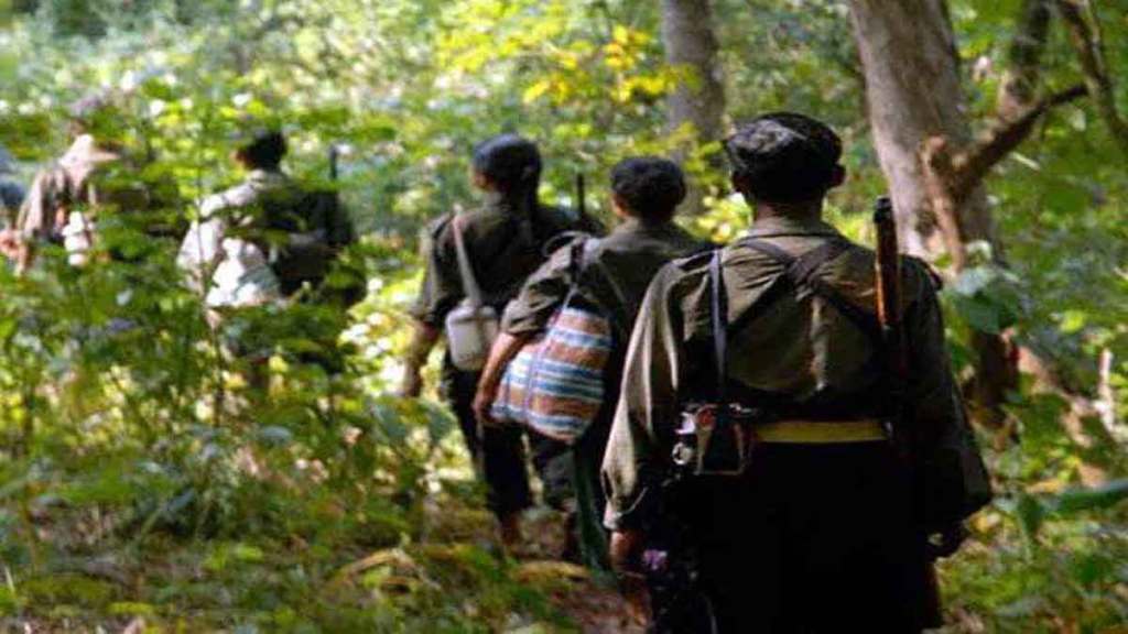 gadchiroli police arrested two naxalites s