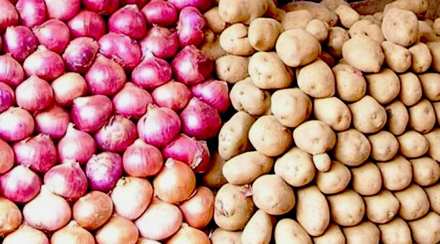 onion potato market in navi mumbai