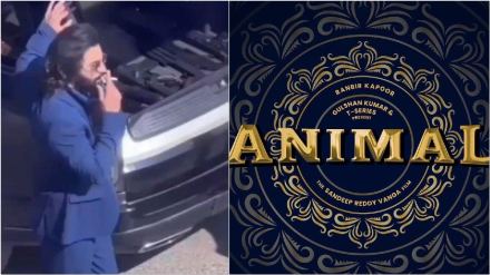 ranbir kapoor animal video leaked