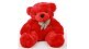 pakistani woman love affair with teddy bear
