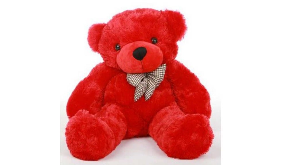 pakistani woman love affair with teddy bear