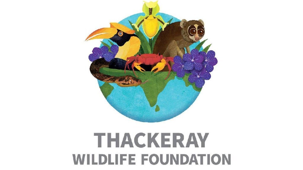 thackeray wildlife foundation