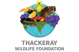 thackeray wildlife foundation