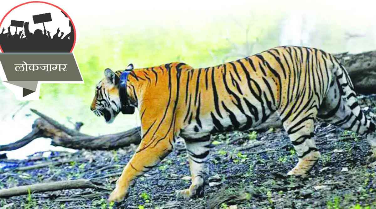 lokjagar