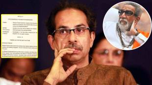 uddhav thackeray party chief post shivsena party constitution