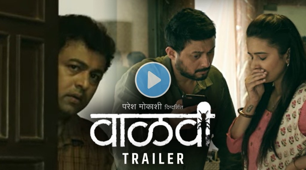 vaalvi trailer, vaalvi trailer release, vaalvi film, marathi film, subodh bhave, anita date, shivani surve, paresh mokashi, वाळवी, अनिता दाते, सुबोध भावे, वाळवी ट्रेलर, वाळवी ट्रेलर प्रदर्शित, परेश मोकाशी