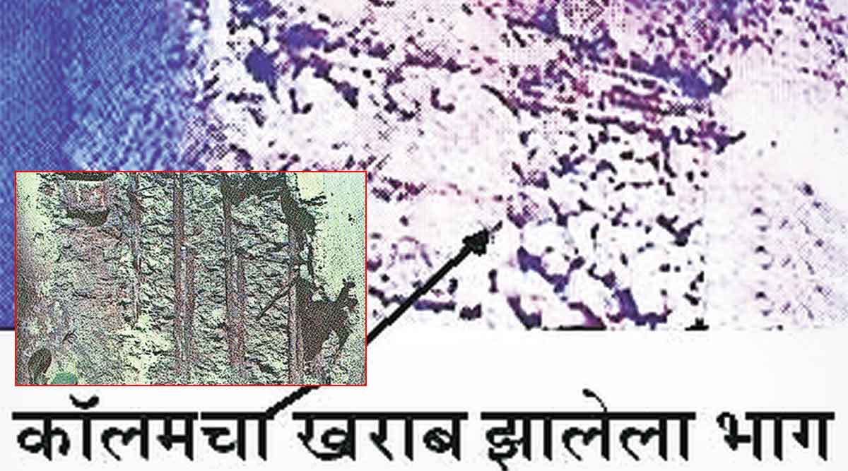 precautions taken before building a home on salt pan land zws 70