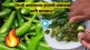 Video How To Reduce Burning After Cutting Chilies 5 Smart Kitchen Hacks For Amazing Recipes
