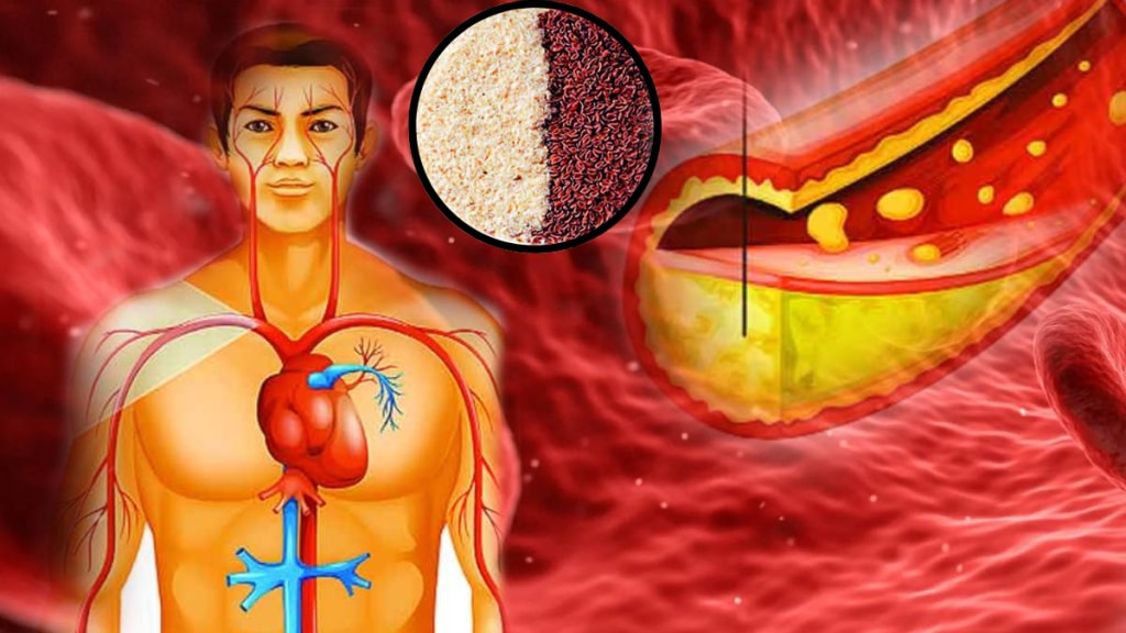 Bad Cholesterol Can Be Removed From The Toilet In The Morning Just Eat This Isabgol Benefits For Body Ayurvedic Expert
