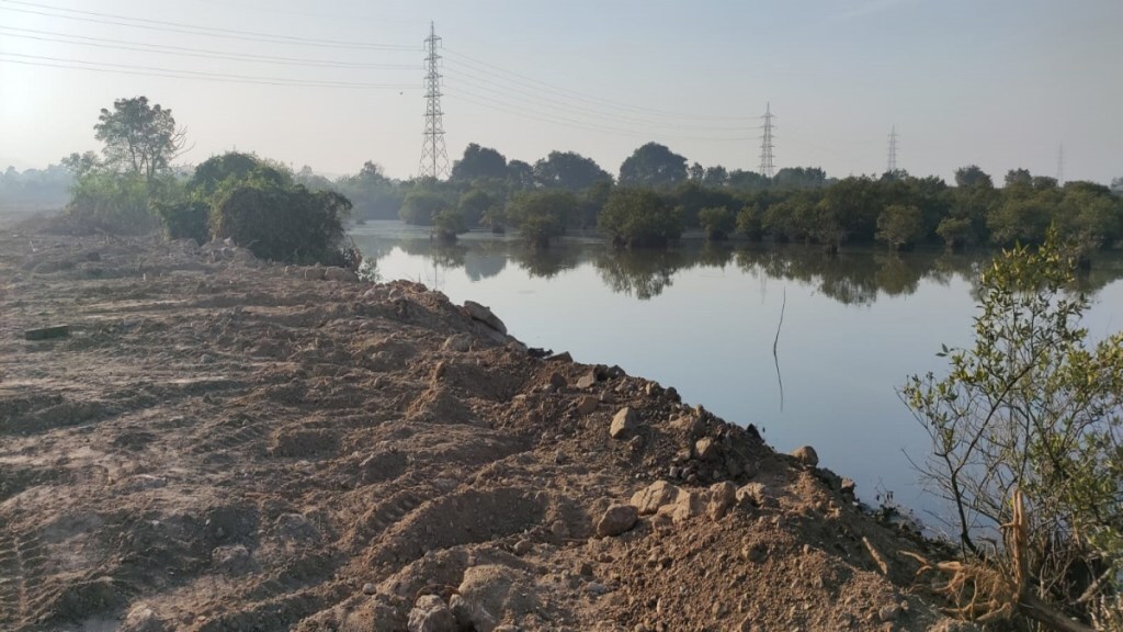 estruction of mangroves by filling the wetland areas of Khopte and Pagote in Uran