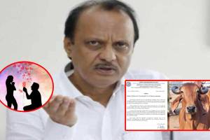 AJIT PAWAR COMMENT ON VALENTINES DAY AND COW HUG DAY