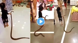 Child Vs Snake Viral Video