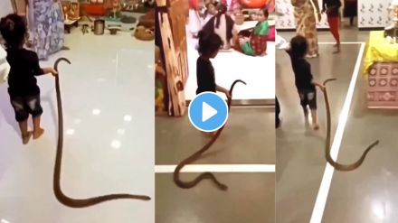 Child Vs Snake Viral Video