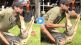 Crocodile Attack Viral Video On Instagram