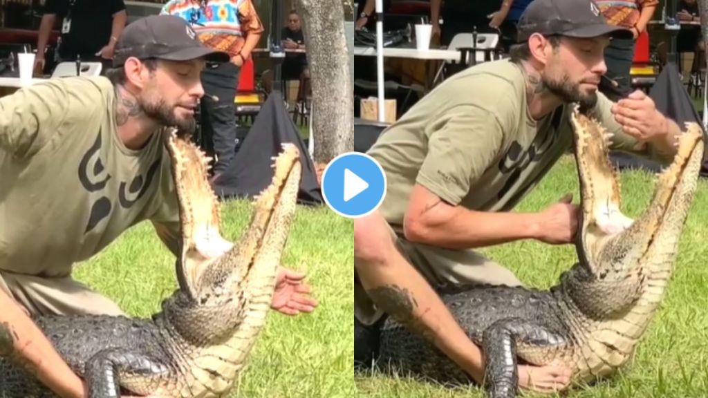 Crocodile Attack Viral Video On Instagram