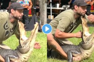 Crocodile Attack Viral Video On Instagram