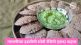 How To Prapare Ragi Idli