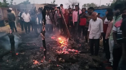 Washim district , goat, fire incident, Malegaon Tehsil