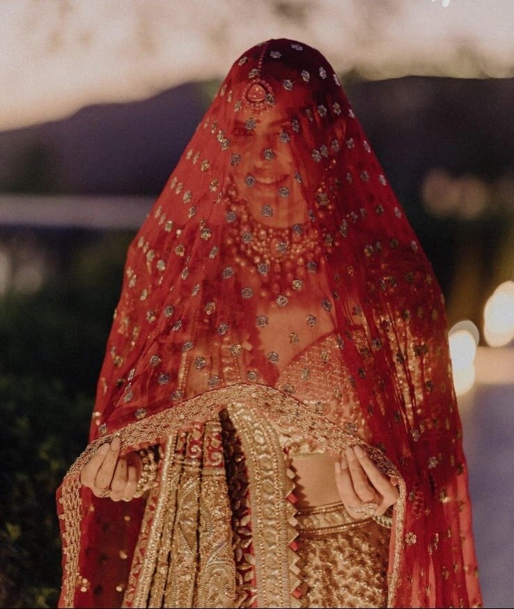 Hardik Pandya Natasa Stankovic Hindu wedding 