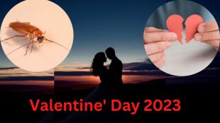 Valentine's Day 2023