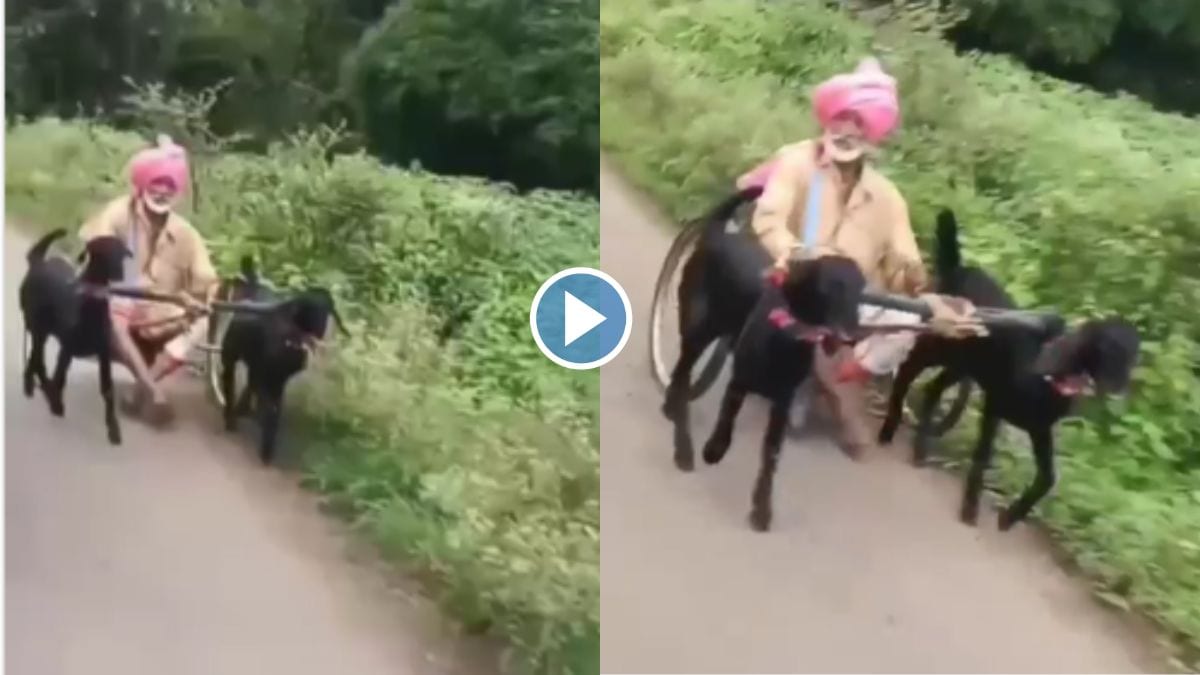 desi jugaad video