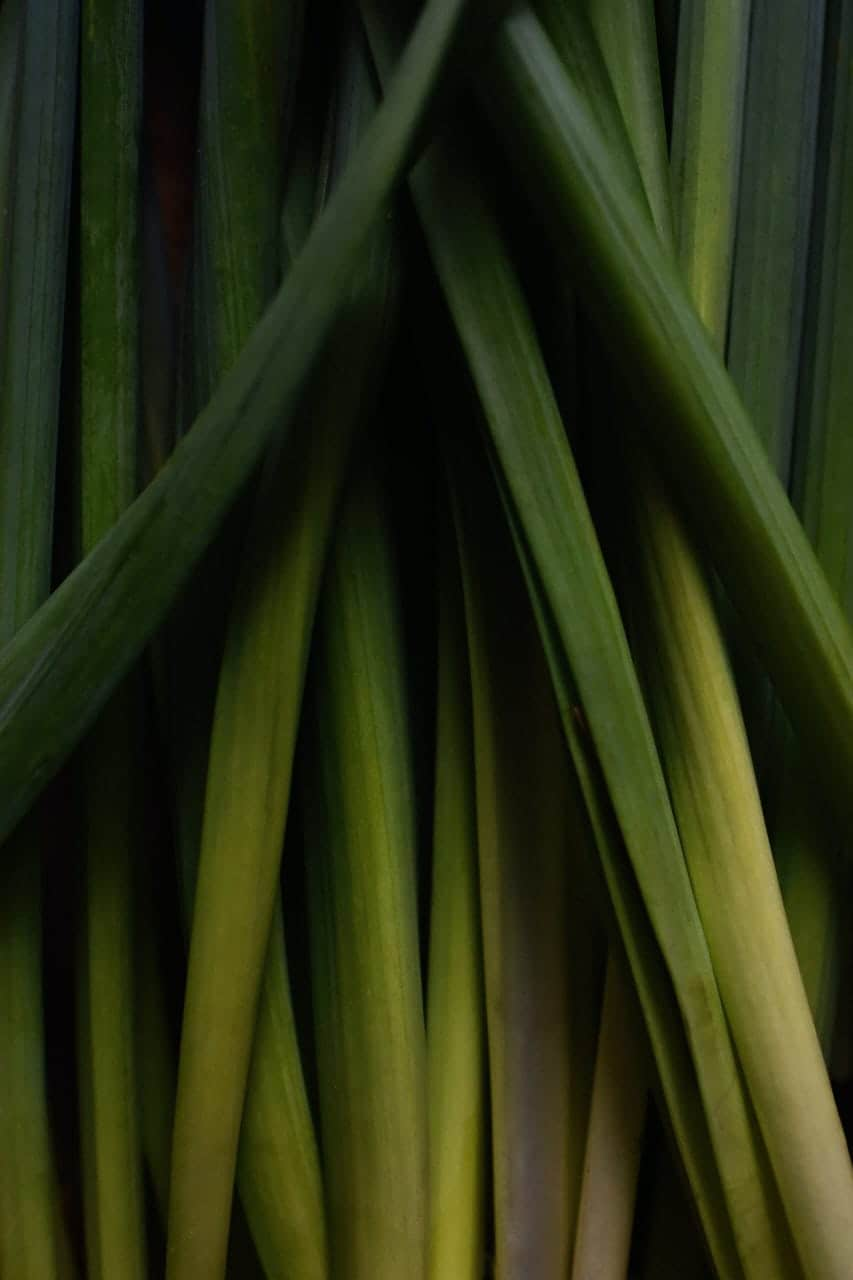 Lemongrass