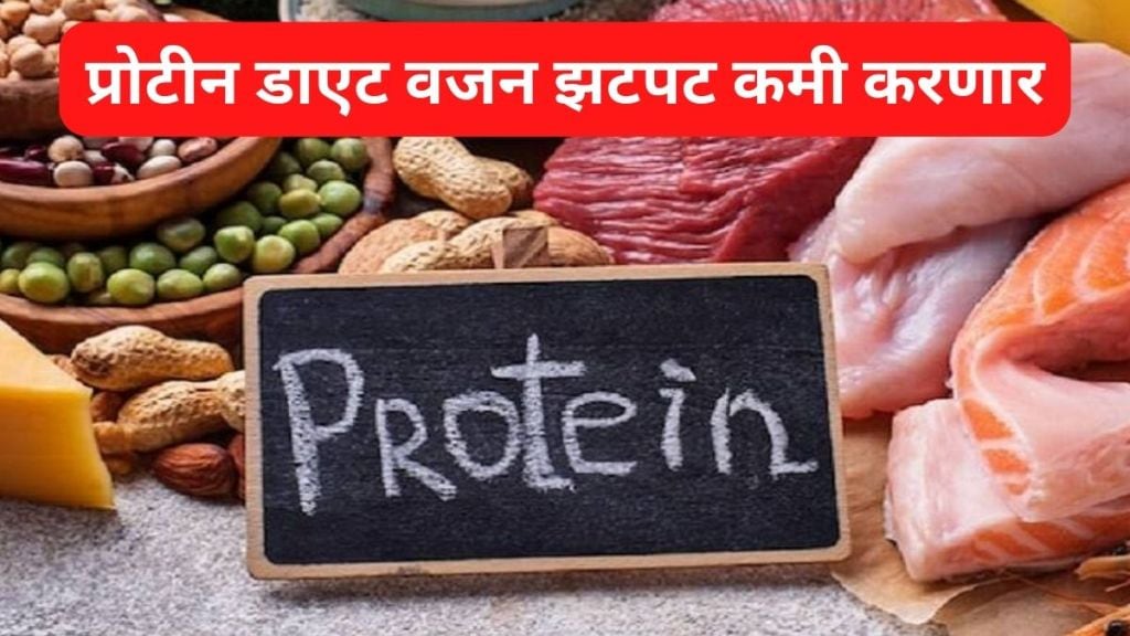 Best Proteins Diet For Weight Loss