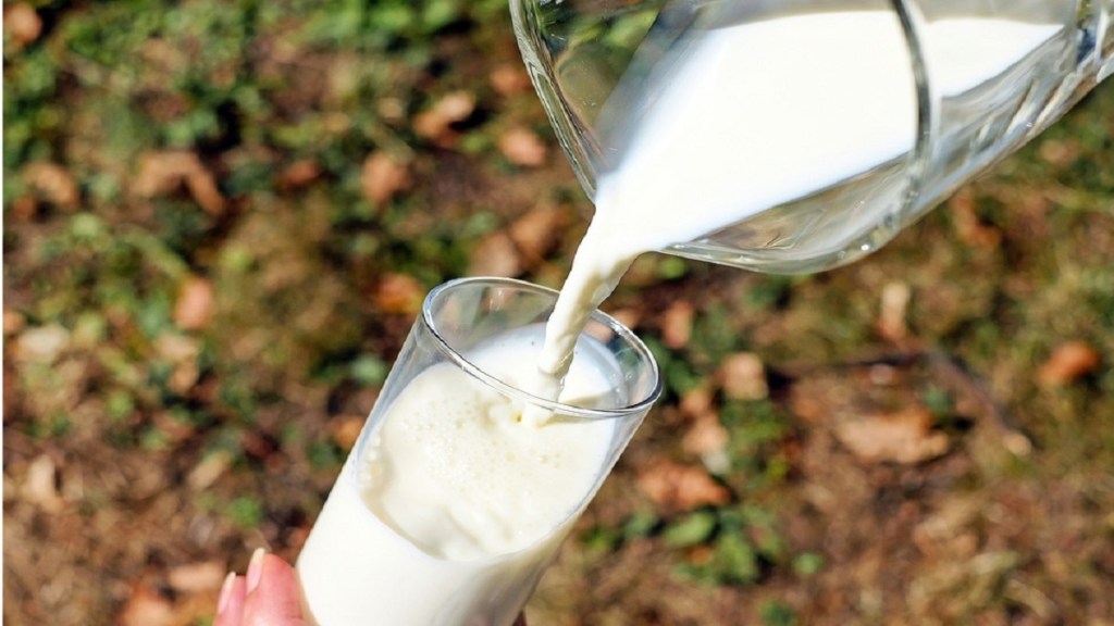 camel milk benefits