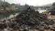 godavari river cleanliness