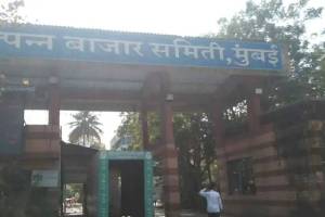 Administrator Mumbai apmc
