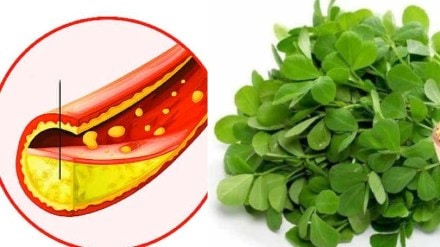 fenugreek leaves benefits