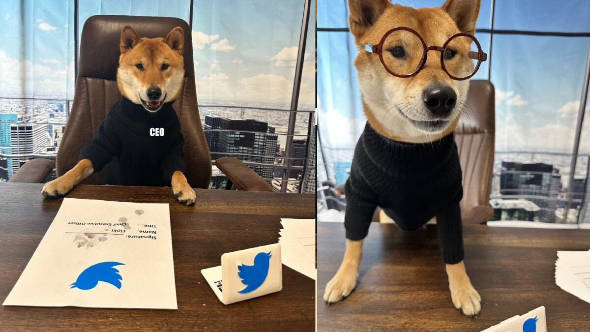 elon musk declared new ceo of twitter