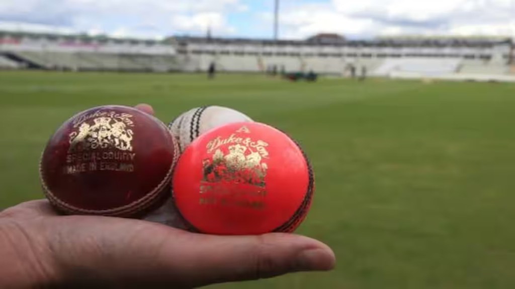 Test Cricket: Red ball insistence for what This change is needed to overcome the visibility problem in Test cricket