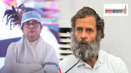 Rahul Gandhi on Mamata Banerjee