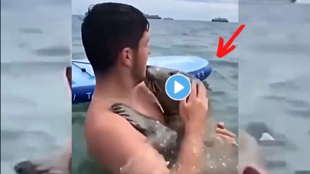 Seal Hugs A Man Viral Video