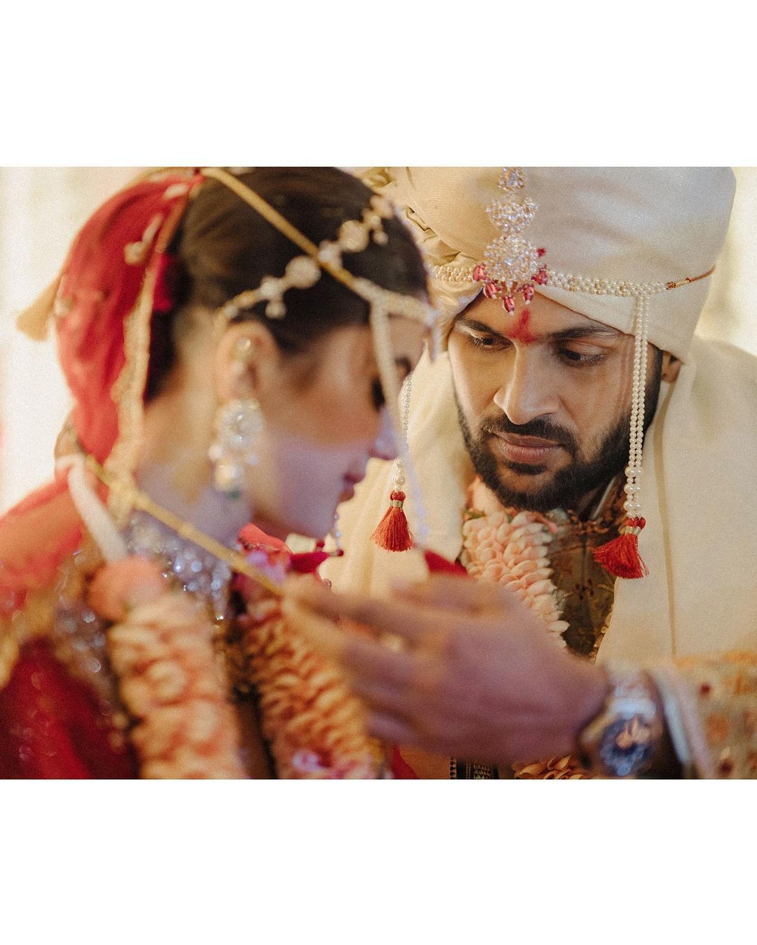  Shardul Thakul and Mithali Prulkar Wedding Photo