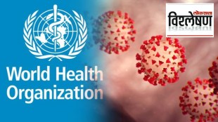 WHO world health organization