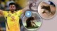 Deepak Chahar shared a monkey video