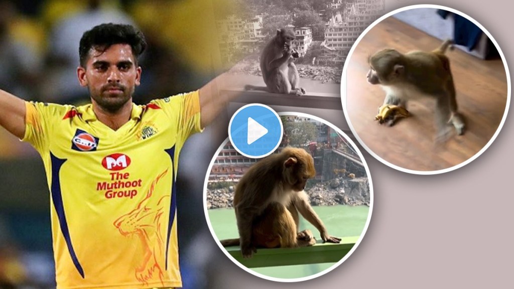 Deepak Chahar shared a monkey video