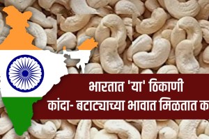 Cashews Are Available Very Cheap In Jamtara Jharkhand