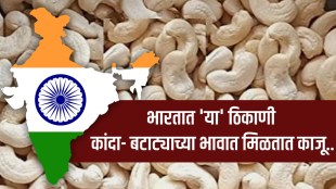 Cashews Are Available Very Cheap In Jamtara Jharkhand