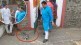 prevent cat crossing nana patole