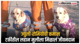 NDRF's The two labradors saved 6 year old girl