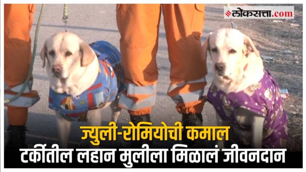 NDRF's The two labradors saved 6 year old girl