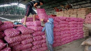 farmer Osmanabad onion no profit