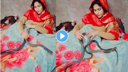Snakes In Bedroom Video