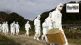 bird flu outbreak