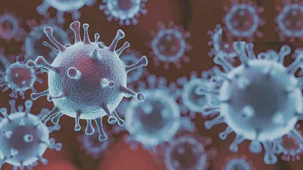 world health organization end coronavirus investigations